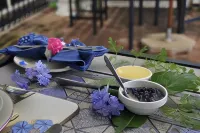 Plumbago Guest House - acceptant les animaux