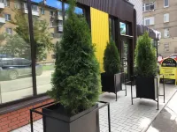 Lemon Loft Hotel
