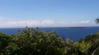D Downhill'Place Hotels in Oslob