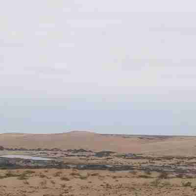 San Mao Sahara Others