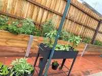 Ada Homestay Hotels in Doncaster