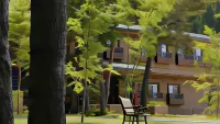 Tokinoyado Sumire Hotels in 