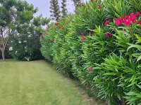 La Villa Joubert Hotels in Oualidia
