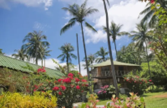 TP ハット バンガロー Pearl Beach周辺のホテル