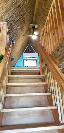 Polynesian Paradise - Summer Specials!