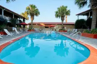 Family Garden Inn & Suites - Kolam Renang