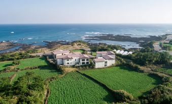 10. 제주 오션스퀘어..