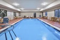 هوليداي إن إكسبرس هوتل آند سويتس نايل  باي آيتش جي فنادق في Niles Charter Township