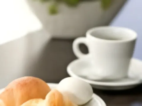 ビジネスホテル アクセス鴨島 吉野川市のホテル