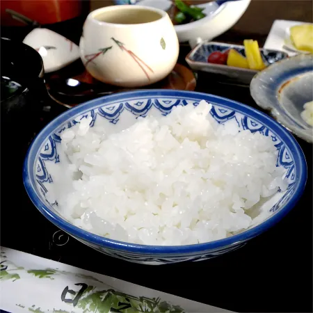 Hinode Ryokan Отели в г. Фукуи