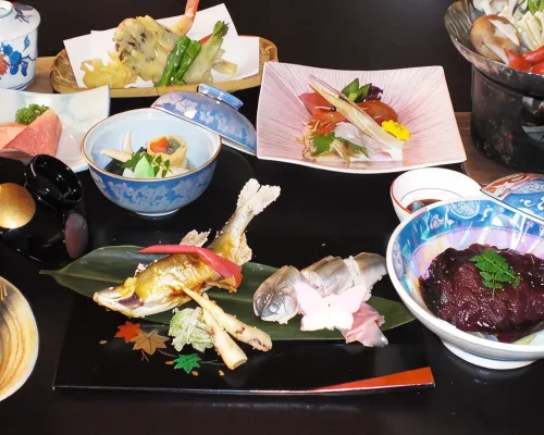 Ryori Ryokan Jumboike Hotels in Nakatsugawa