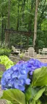 Welcome to mountain retreat in the tranquil beauty of Rabun County! - 4-Star