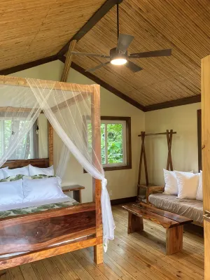 Tranquil Waterfall Studio, Oceanfront with Jungle Hiking and Starlink - 3-Star