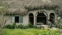 Neverland de Papillons