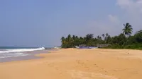 THE PLEASURE KOSGODA
