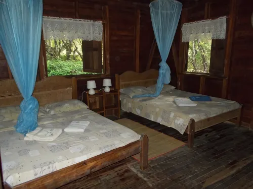 Chalet Hibiscus