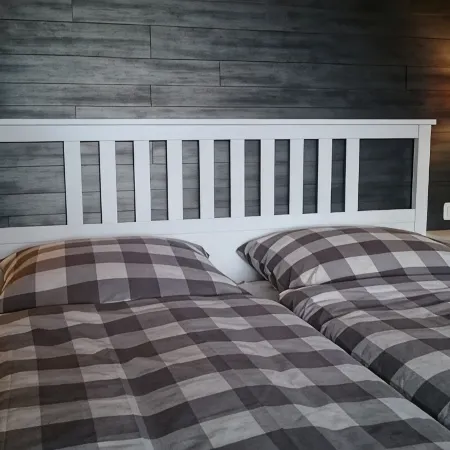 Top modern apartment Altenau in the Upper Harz