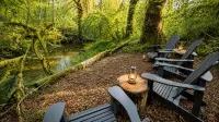 Cozy Pnw Escape in Town with Hidden Creek Spot, Perfect for Exploring Olympic NP - 4-Star