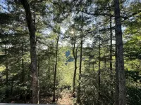 Firefly 3BR/3BA cabin with amazing views! Hotels in Wolfe County