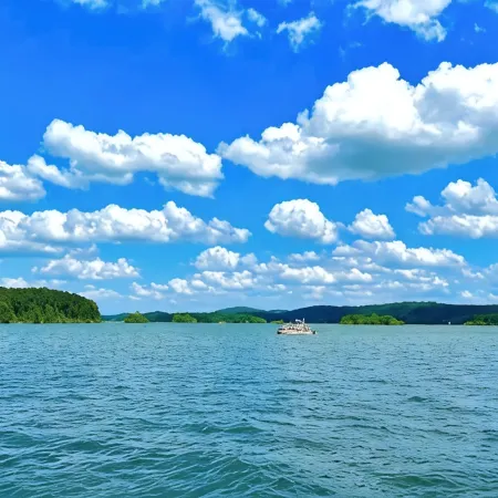 Cozy Tiny Home Cabin Near Lake Greeson & Kirby Landing – Pet-Friendly!