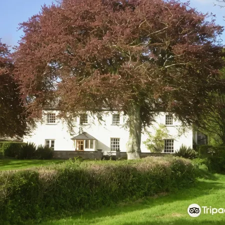 Buckley Farmhouse Bed and Breakfast
