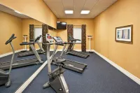 Holiday Inn Express & Suites SAINT AUGUSTINE NORTH by IHG - Gym