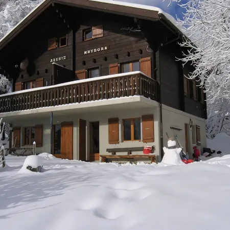 Spacious 7-person chalet with 4 bedrooms in varied ski area Bellwald Wallis + P