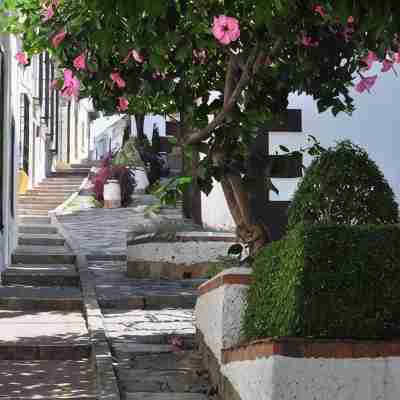 Typical Andalusian house with everything you want at your fingertips Hotel Exterior