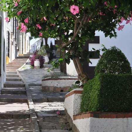Typical Andalusian house with everything you want at your fingertips
