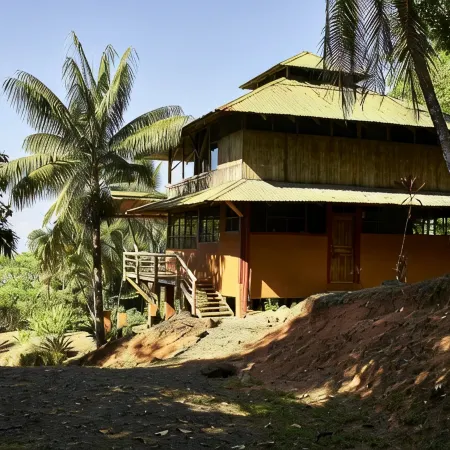 Peaceful ocean view Home in Ballena Marine National Park. Walk to Beaches.