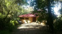Casa Toucan, Secluded Jungle Setting with Ocean View & 40 foot Pool