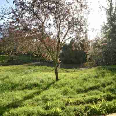 3 bed converted chapel with lake view Hotel Exterior
