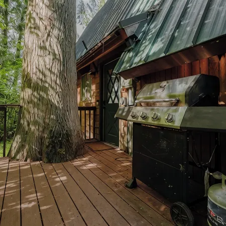 Spacious North Cascades Riverside A-Frame w/ Mt Baker Views - Dog-Friendly