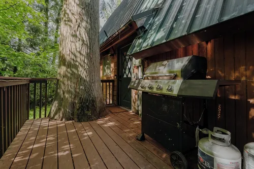 Spacious North Cascades Riverside A-Frame w/ Mt Baker Views - Dog-Friendly