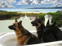 Hawley House - Hot Tub