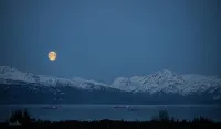 Otter Stop Inn!  Ocean and mountain views from every window!