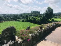 Wasan Stay in Jeju