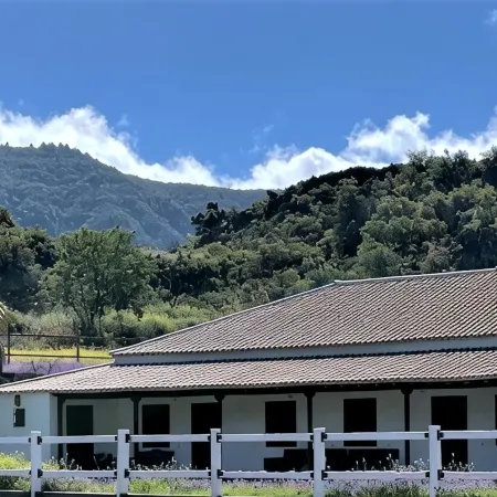 Rural Villa Near the P.N. Taburiente Caldera