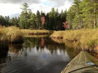 Cozy Vermont Cabin at Trail End Ranch! the Best of VT is All Around You!