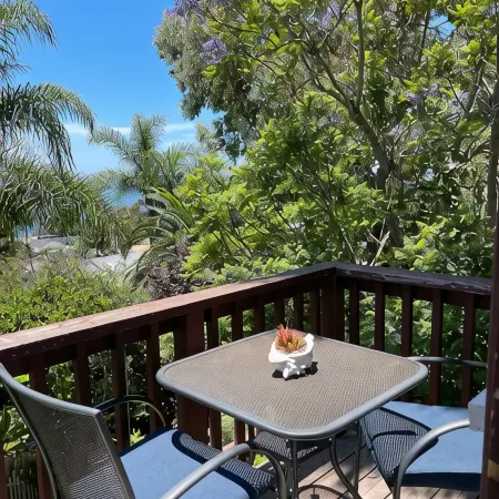 Ocean View Laguna Beach Cottage, Private Garden 700ft to 1000 Steps Beach Entry