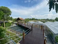Nature Peace Home