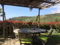 Agriturismo Uliveto Saglietto - Farmhouses