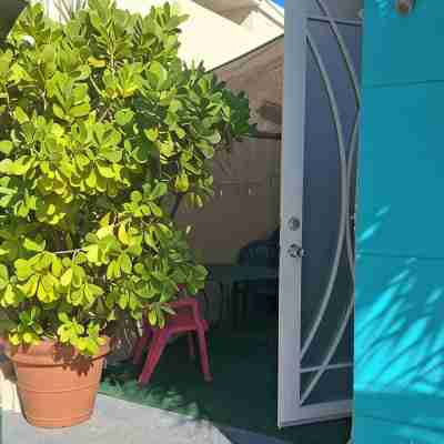 Stay as a tourist & feel as a local; Beach & Loiza st. strip, everything near! Hotel Exterior