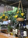 Phuc Sinh Homestay - bar