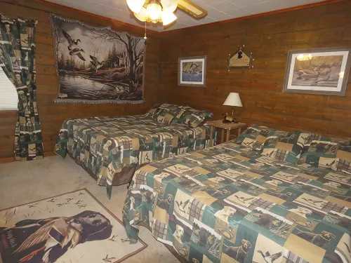 Buffalo Lodge, Secluded Log Cabin Near Buffalo National River - Hytter