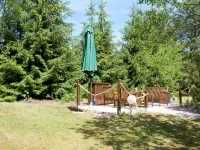 Comfort Meets Coastal Charm - 3-Star