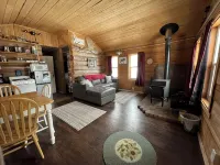 Charming 1-bedroom cabin in welcoming Houston with WiFi