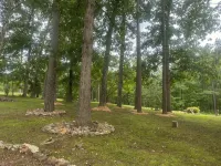 3-bedroom Pet Friendly home on 14 acres with trails and seasonal creeks. - Wifi