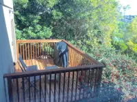 Cozy Studio In The Hills Of Mill Valley. - 3-Star