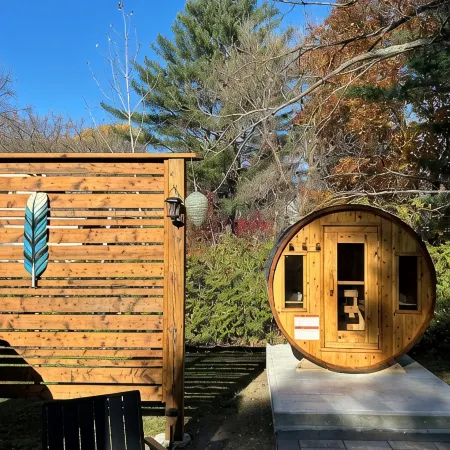 Hot tub, sauna, auto generator, in town of Bracebridge, dock-water toys, pets OK